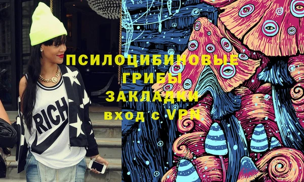 PSILOCYBIN Бердск