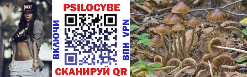 Галлюциногенные грибы GOLDEN TEACHER  OMG зеркало  Гаврилов Посад  где найти наркотики 